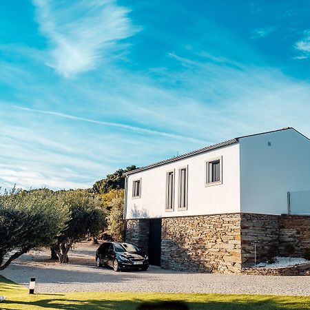Villa Casa Com Piscina No Coracao Do Douro - Domaine Casa Valenca, Valença do Douro Exterior foto